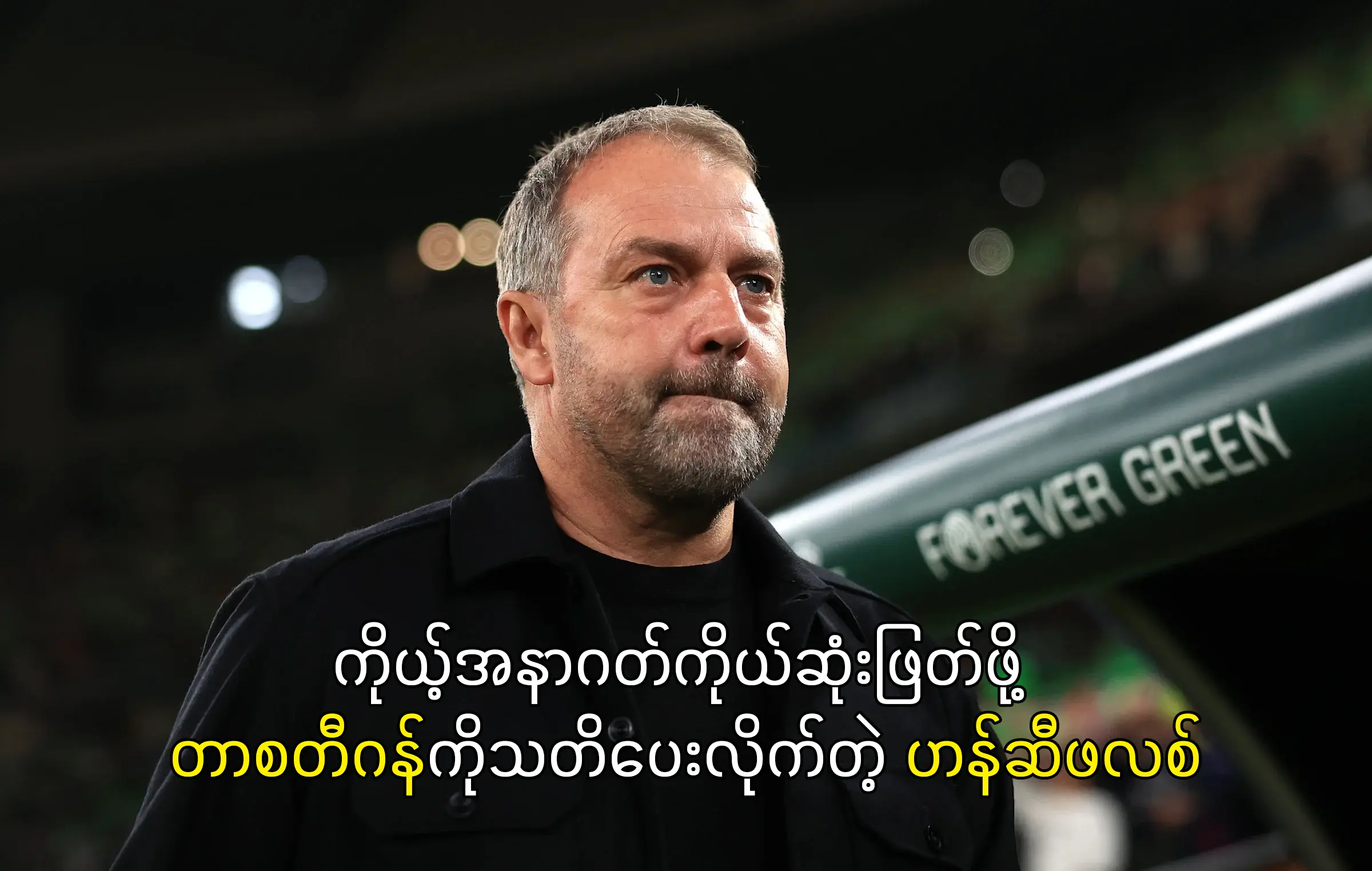 တာစတီဂန်ကိုသတိပေးလိုက်တဲ့ ဟန်ဆီဖလစ်