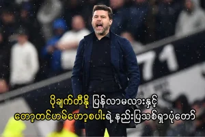 ပိုချက်တီနို ပြန်လာမလား