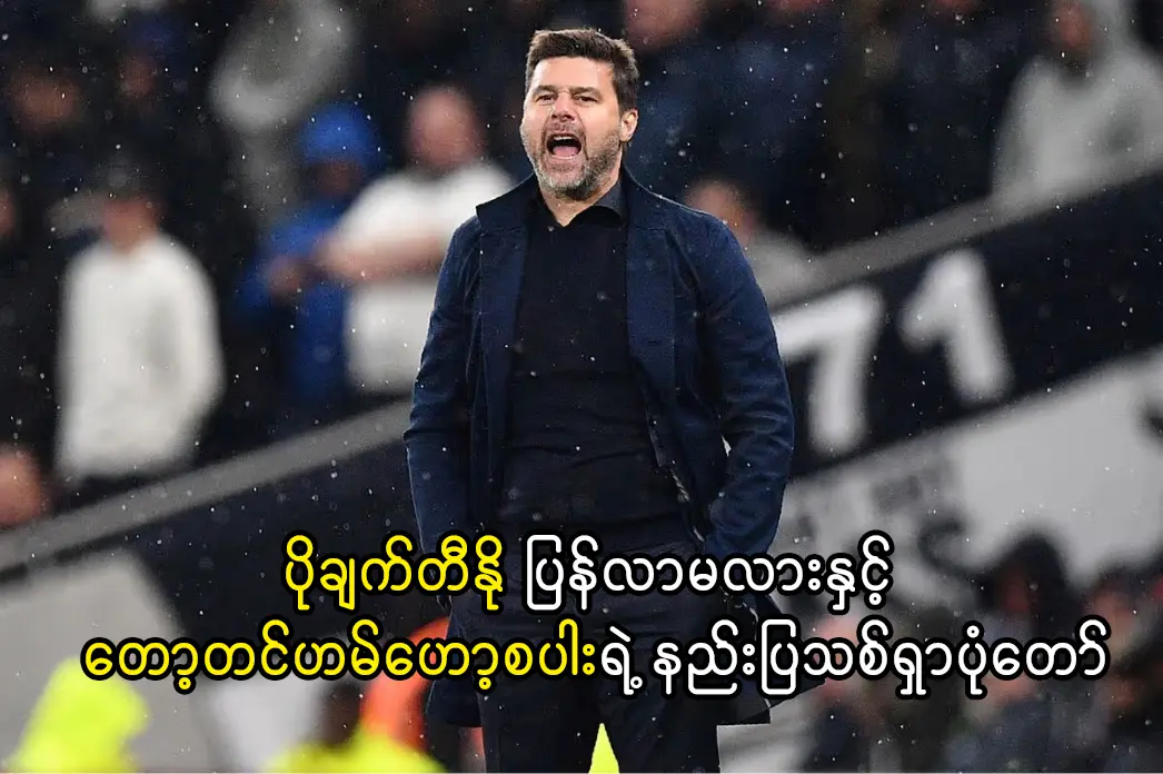 ပိုချက်တီနို ပြန်လာမလား