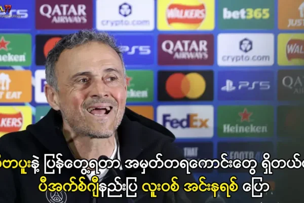 ပီအက်စ်ဂျီနည်းပြ လူးဝစ် အင်းနရစ်