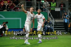 ဟာရီ ကိန်းနှင့် ဂနာဘရီ ဒဏ်ရာသတင်း